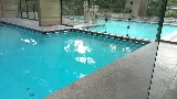 Canadian Pool Maintenance photo 6