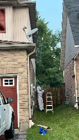 Accord Pest Control photo 6