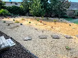 Brothers Landscape Services photo 3