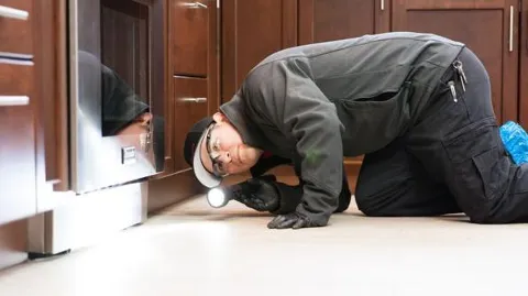 Eastside Exterminators in Bellevue