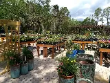 Earth Works Plant Nursery photo 8