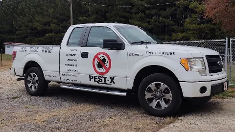 Pest-X Exterminating photo 1