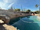Trinity Custom Pools replaster photo 4