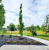 Rain, Sun and Us Landscaping photo 8