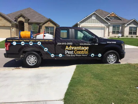 Advantage Pest Control photo 1