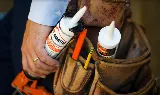 Catseye Pest Control - Boston, MA photo 3