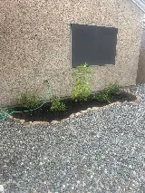 Desert Rain Landscaping & Services photo 8