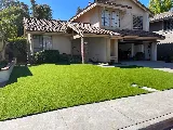 JG Lawns Turf photo 2