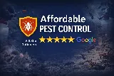 Affordable Pest Control