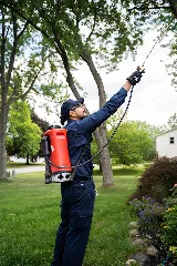 Fox Pest Control Rochester photo 8