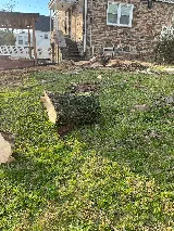 JCS Landscaping Services LLC photo 8