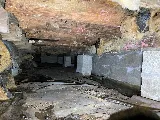 Precision Pest Management photo 3