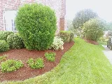 TITAN LANDSCAPE AND TREE SERVICES LLC