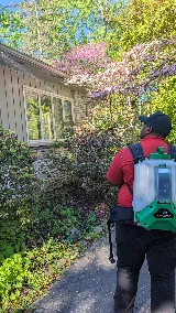 Lady Bugs All Pest Solutions photo 5