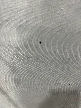 Fast Pest Control - Oakville photo 7