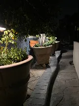 Arbol Roble Landscaping Services photo 4