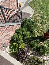 Fenix Pest Control, Inc. photo 4