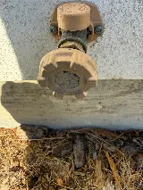 King Pest Solutions photo 8