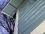49er Termite & Pest Control photo 8