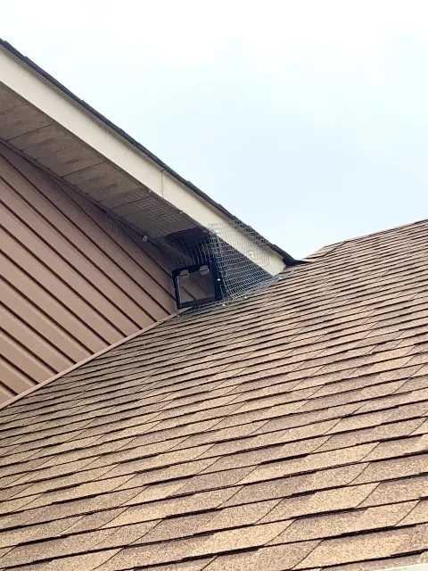 Quality Affordable Pest Control Toronto in Toronto