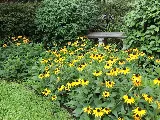 Lambert Landscape Company photo 6