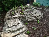 Greenspace Landscaping photo 5