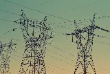 Maple Leaf Electrical Ltd photo 8