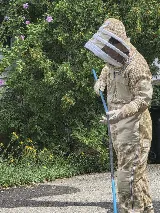 ROBBINS PEST SERVICES photo 3