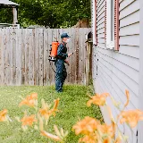 Fox Pest Control Rochester photo 4