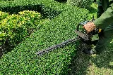 Jason's Lawn Care & Landscaping Inc photo 3