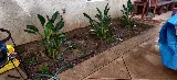 Prowess Landscaping Maintenance Inc. photo 5