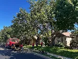 Brents Tree Service photo 7