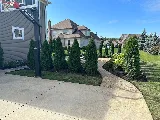 U.S. Lawns - New Orleans photo 5