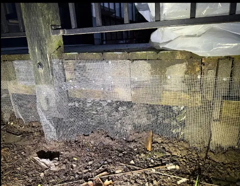 Broadway Pest Control photo 1