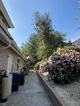 Luis Hernandez Landscaping