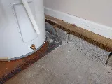 Black Diamond Pest Control photo 2