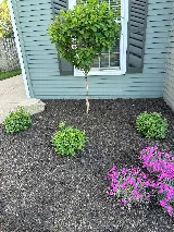 Precision Landscaping Corporation photo 5