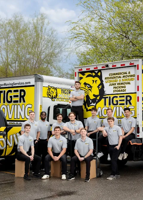 Tiger Moving in Columbia