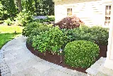 Northeast Horticultural Services photo 6