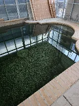 Pacific Blue Pool inc photo 4