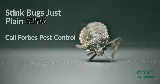 Forbes Pest Control, LLC photo 8