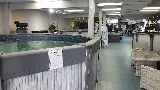 Aqua-Pro Piscines & Spas photo 7