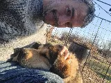 Hassle Free Hot Tubs photo 7