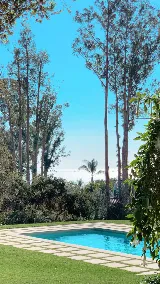 Tropical Pool & Spa Services