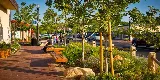 Pacific Coast Land Design, Inc photo 6