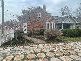 Lawn Mex Inc and Tree Service photo 2