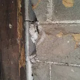 Bats to Rats LLC - Wildlife Control and Prevention photo 6