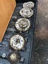 Alpine Pest Management photo 5