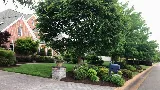 J&R Lawn And Landscape LLC photo 5