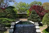 Memphis Pool photo 7